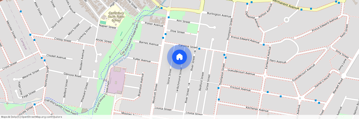 19 Richmond St, NSW 2206, Earlwood