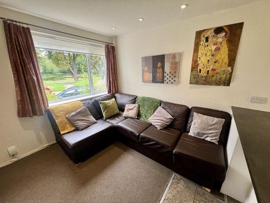 4 bedroom house share to rent - Photo 1