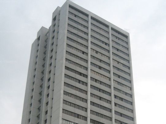 Lucky Plaza (D9), Apartment - For Rent - Photo 1