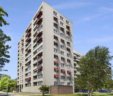 Beemsterstraat 546 C8 - Photo 3