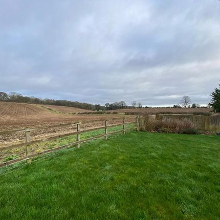 2 bedroom semi-detached house to rent - Photo 4