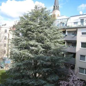 Alte Donau, 3-Zimmer Wohnung - Photo 1