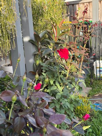 Catherine Field - Photo 5