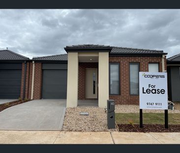 40 Guthrie Dr, Melton South, Vic 3338 - Photo 4