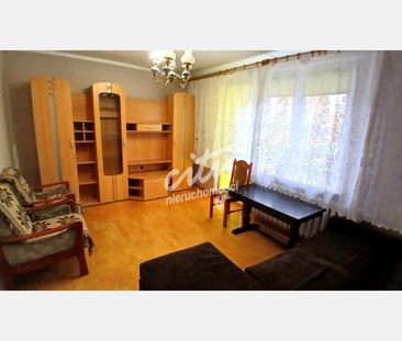 Gryfino - Фото 5