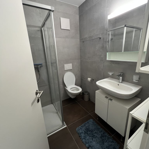 A LOUER! Bel appartement moderne de 1 pièce à Sainte-Croix - Photo 2