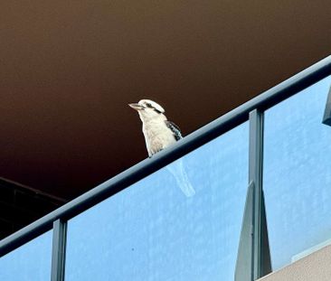 Erskineville - Photo 4