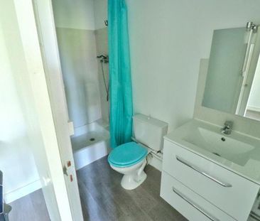 Location Appartement 1 pièce 25m² ST ETIENNE 42000 - Photo 6