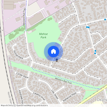 194 Mahoe Street, Melville, Hamilton