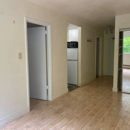 1 BDRM DOWNTOWN / WEST END VANCOUVER - Photo 4