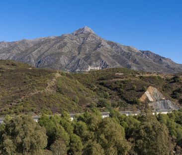 Penthouse Duplex in Nueva Andalucía - Photo 5