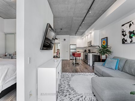 Zed Lofts , #311 - Photo 4