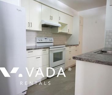 Unfurnished, Pet Friendly, 2 Bed 2 Bath Apartment For Rent - Photo 5