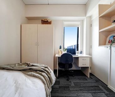 8 Mount Street, Grafton, Auckland - Photo 1