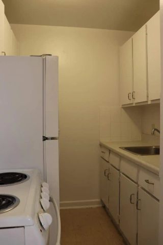 165 Cosburn Avenue, Toronto — Bachelor - Photo 4