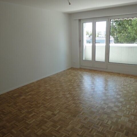 Living next to the Schüssinsel - Vivre près de l'île de la Suze - Photo 1