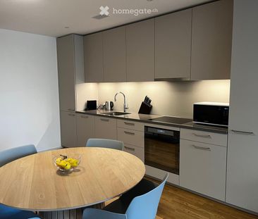 Moderne 2.5-Zimmer-Wohnung in Luzern ab sofort zu vermieten - Photo 3