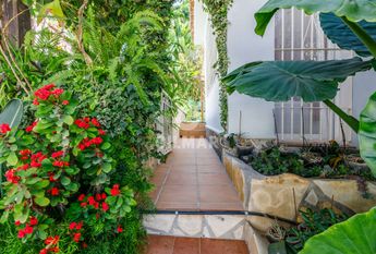 Chalet Independiente en alquiler en Benajarafe – Málaga | Gilmar