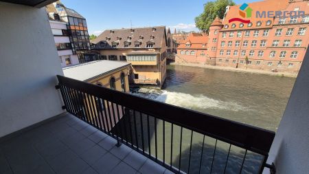 Appartement 1 pièce à Strasbourg - Photo 5