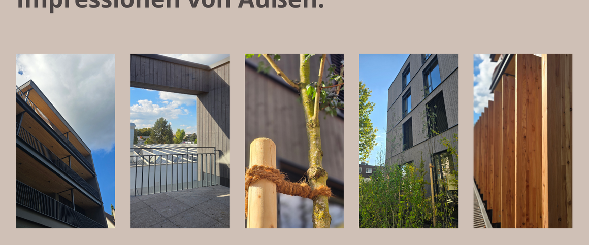 Nachhaltig wohnen im Neubau: 4,5 sonnige Zimmer — sofort einziehen - Photo 1