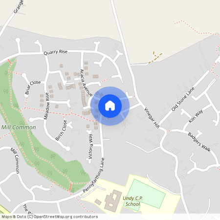 Pennyfarthing Lane, Undy, NP26