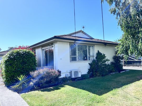 Fully Renovated sunny two bedroom unit - Photo 1