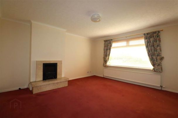 19 Leydene Court, Pond Park Road, Lisburn, BT28 3LL - Photo 1