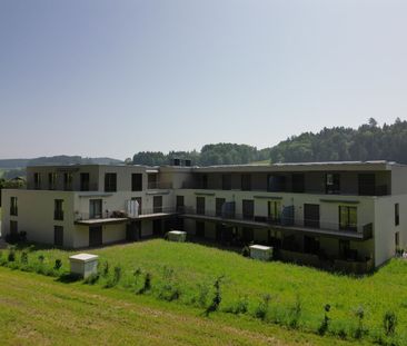 Moderne 2.5-Zimmer-Wohnung an ruhiger Lage - Foto 3