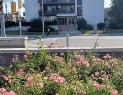 2 Bedroom Apartment Available | 1059 Don Mills Road, Toronto - Photo 1