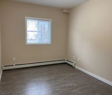 Tamarack Manor — 2 bed 1 bath - Photo 5