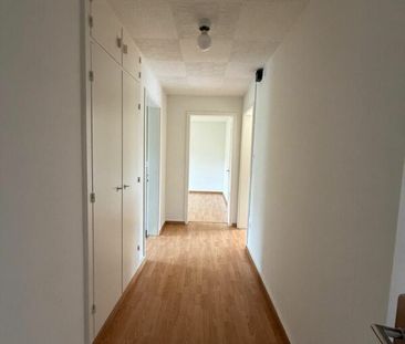 Adorable, grand et lumineux - 2,5 ZWG maintenant toujours gratuit ! - Photo 6