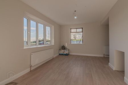 53 Ballymacombs Road, Portglenone, Ballymena, BT44 8NS - Photo 2