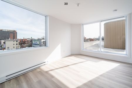 Condo for rent, Montréal (Rosemont/La Petite-Patrie) - Photo 5