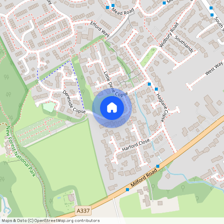 Little Dene Copse, Pennington, Lymington, Hampshire, SO41