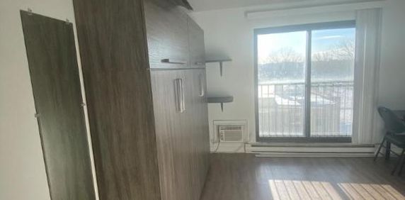 1 1/2 - Montréal (La Petite-Patrie) - 850 $/mois - Photo 2