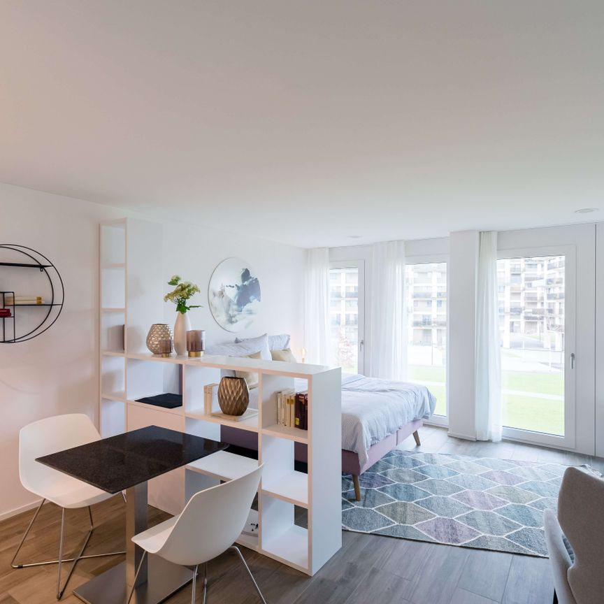 Dübendorf - Photo 1