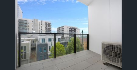 Beautiful 'Belle' - Photo 5