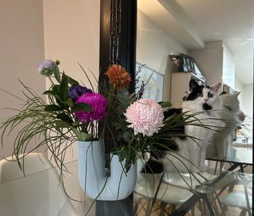 Woolloomooloo - Photo 5