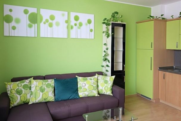 Pronájem bytu 2+kk 42 m², Netušilova , Brno - Photo 1