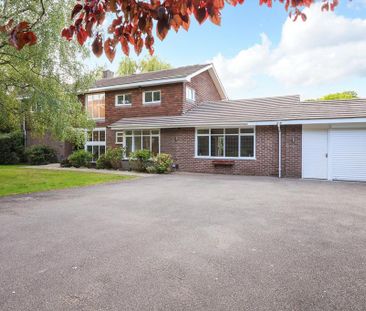 6 bedroom detached house to rent - Photo 2