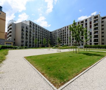 Joli appartement traversant - CDD 31.03.2028 - Foto 2