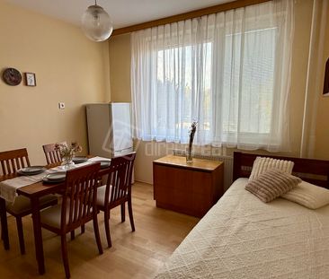 DIRECTREAL|Prenájom veľkého 1 izbového bytu s balkónom v tesnej blí... – Fotografia 2