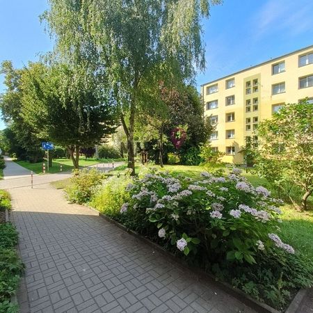 2-pokojowe mieszkanie na wynajem, Pomorzany. - Photo 5