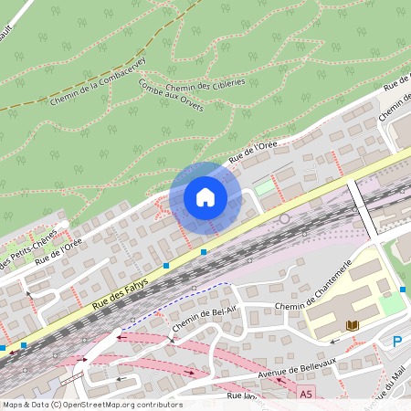 2000, Neuchâtel, Rue des Fahys, 171