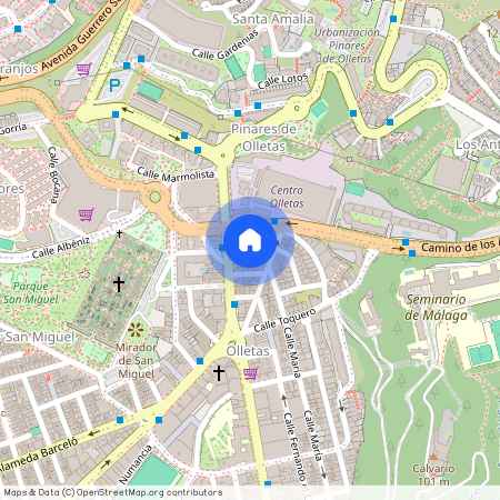 Calle Portazgo, Málaga, Andalusia 29013, Malaga