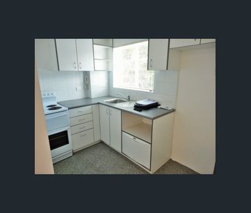 Bright & Sunny One-Bedroom Security Apartment with Brand New Bathroom - Photo 2