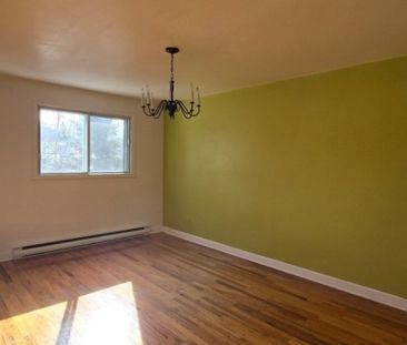 4271 Rue d'Amos, app.2, H1H 1P5, H1H 1P5, Montréal - Photo 1