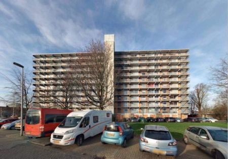 Appartement 4 pièces, Anne Franklaan, Purmerend - À Louer - Photo 5