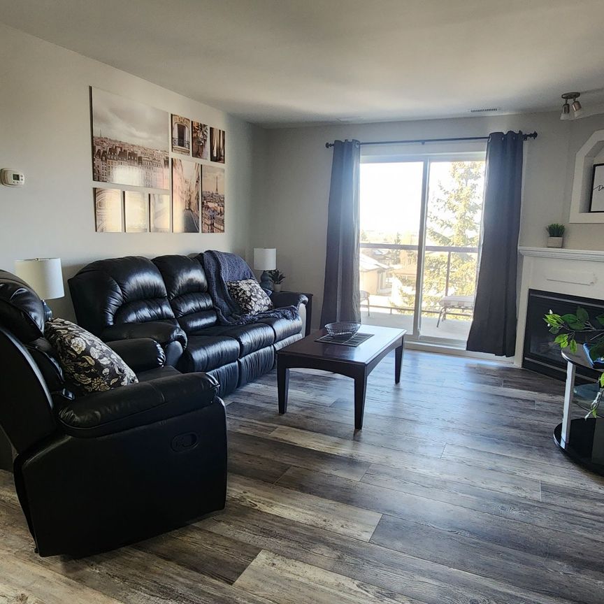 Unit 319, 18 Averill Street, Red Deer AB *furnished - Photo 1