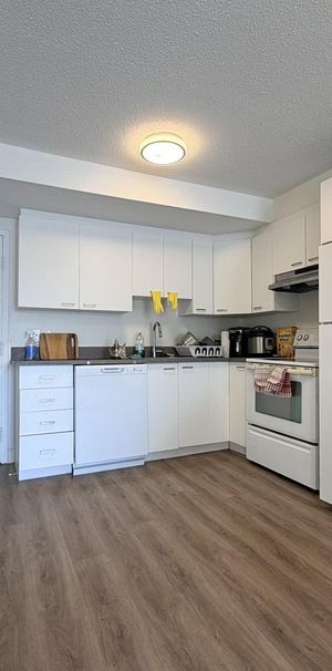 Antoine-du Verdier Appartement 3 ½ à Louer Sainte-Foy / Sillery Juillet 2026 - Photo 2